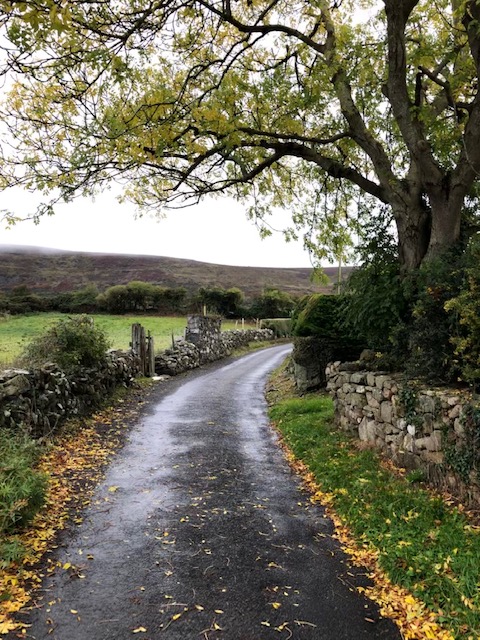 Walk and explore Carlingford